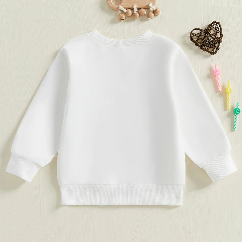 0-4Y  Kids Girls Boys Birthday Sweatshirt T- Shirt Letter Embroidery Long Sleeve Pullover Autumn Top