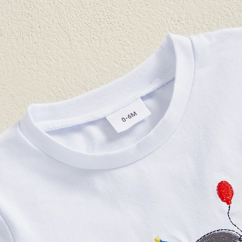 Summer Casual Baby Boys Birthday Outfit Set - Letter Animal Print T-Shirt with Plaid Shorts