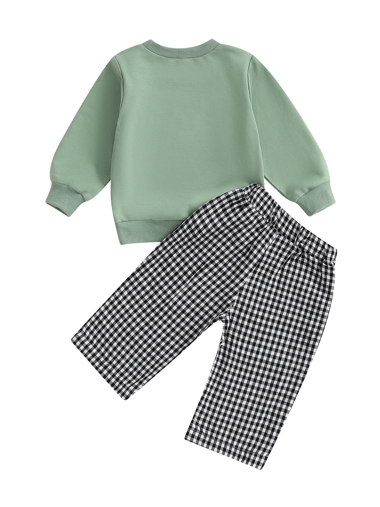 Infant Baby Boy 2-Piece Fall Clothes Set - Animal Embroidery Sweatshirt & Pants (0-3Y)