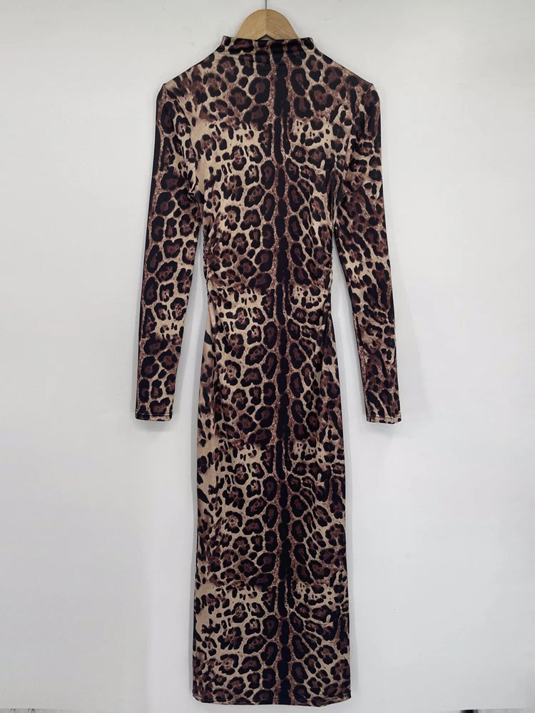 Women's Leopard Print Maxi Long Sleeve Gown Dress