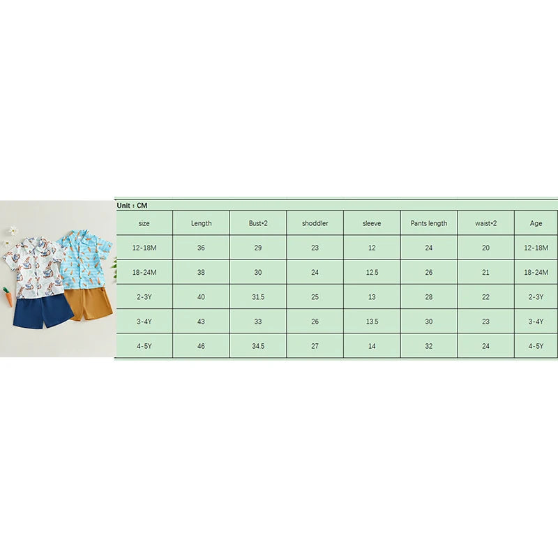0-5Y Toddler Kids Boy's Easter Clothes Sets Rabbit/Carrot Print Short Sleeves T-Shirt and Elastic Shorts