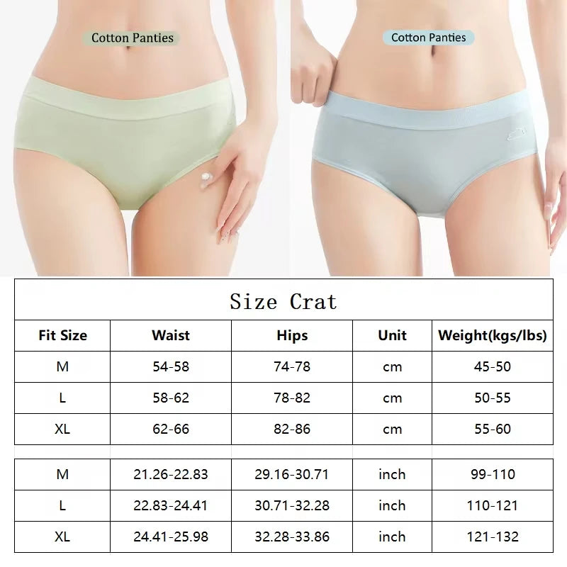 Women's 3Pcs/Set Cotton Sports Underwear  Seamless Panties Low-Waist Solid Briefs  High Stretch Breathable Soft Lingerie