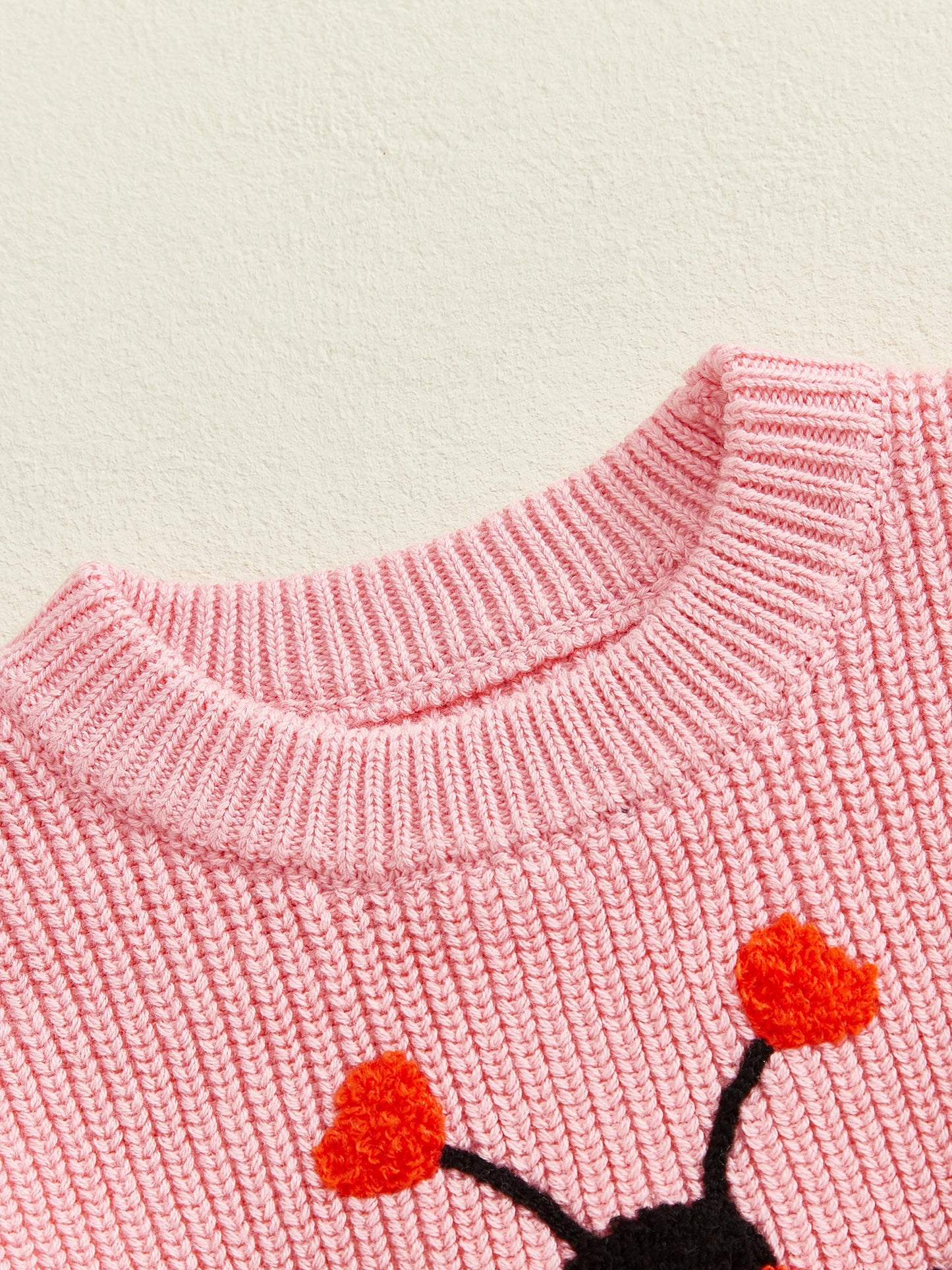 Baby & Toddler Knit Sweater - Ladybug Embroidery Pullover