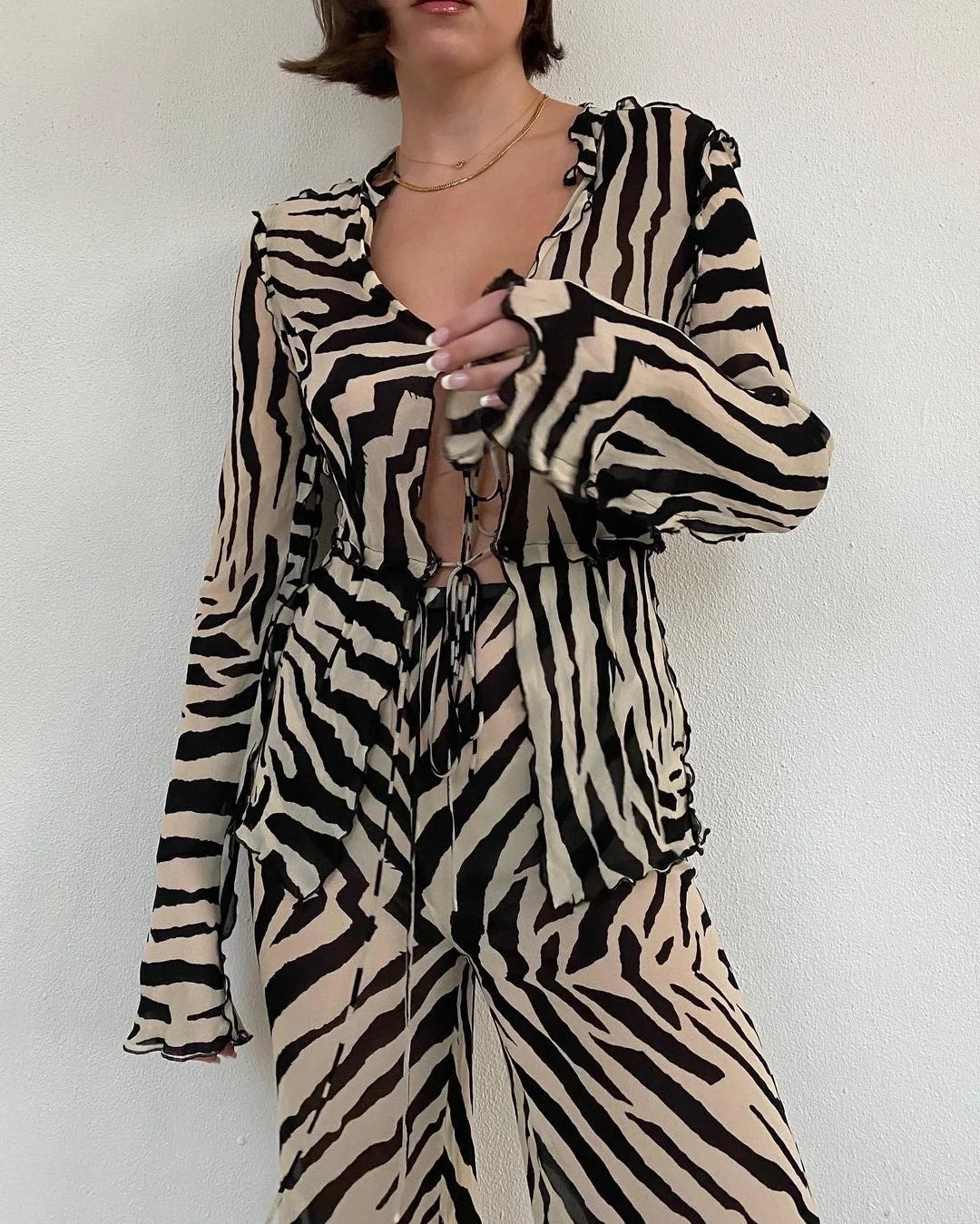 Women's Animal Print Mesh Sheer Stripe Tie Front Detail Top Matching Set