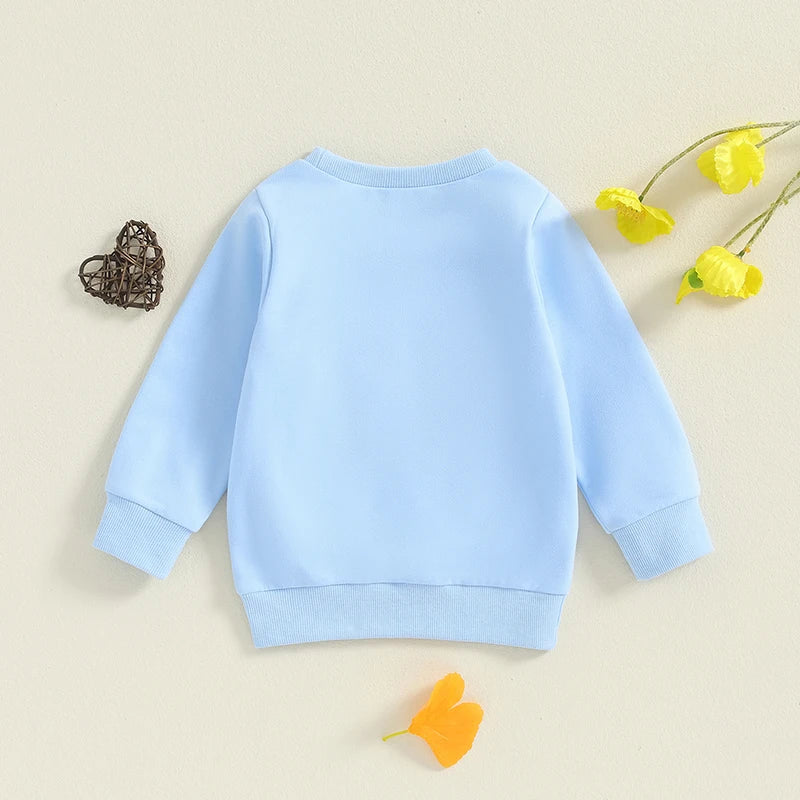 1-5Y Kids Girls Boys Sweatshirt - Long Sleeve Letter Embroidered Round Neck Casual Pullover Top