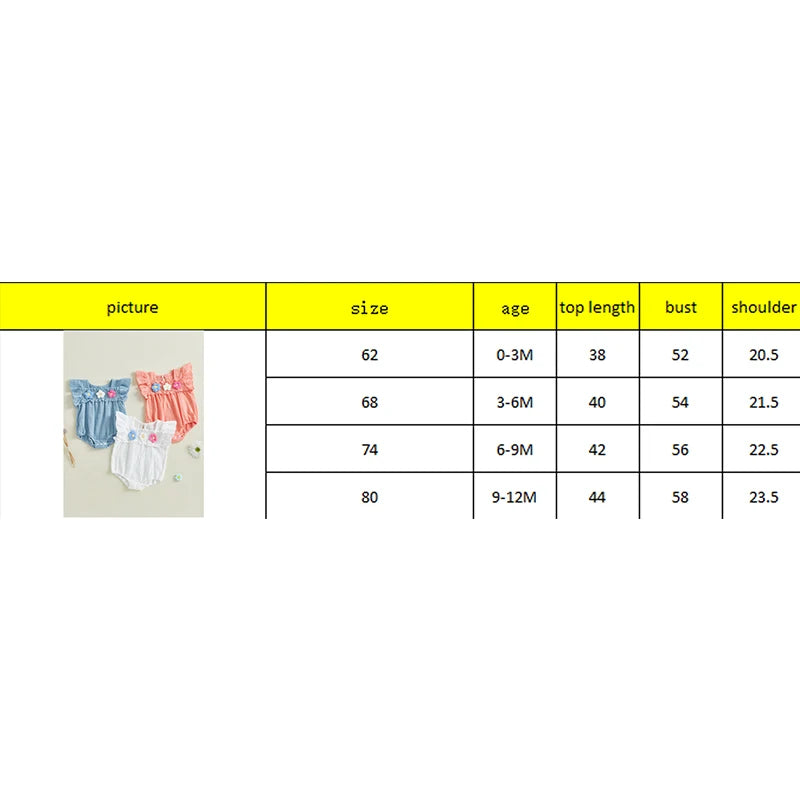Newborn Baby Girls Flower Embroidery Romper - Smocked Flying Sleeve Jumpsuit (0-12M)
