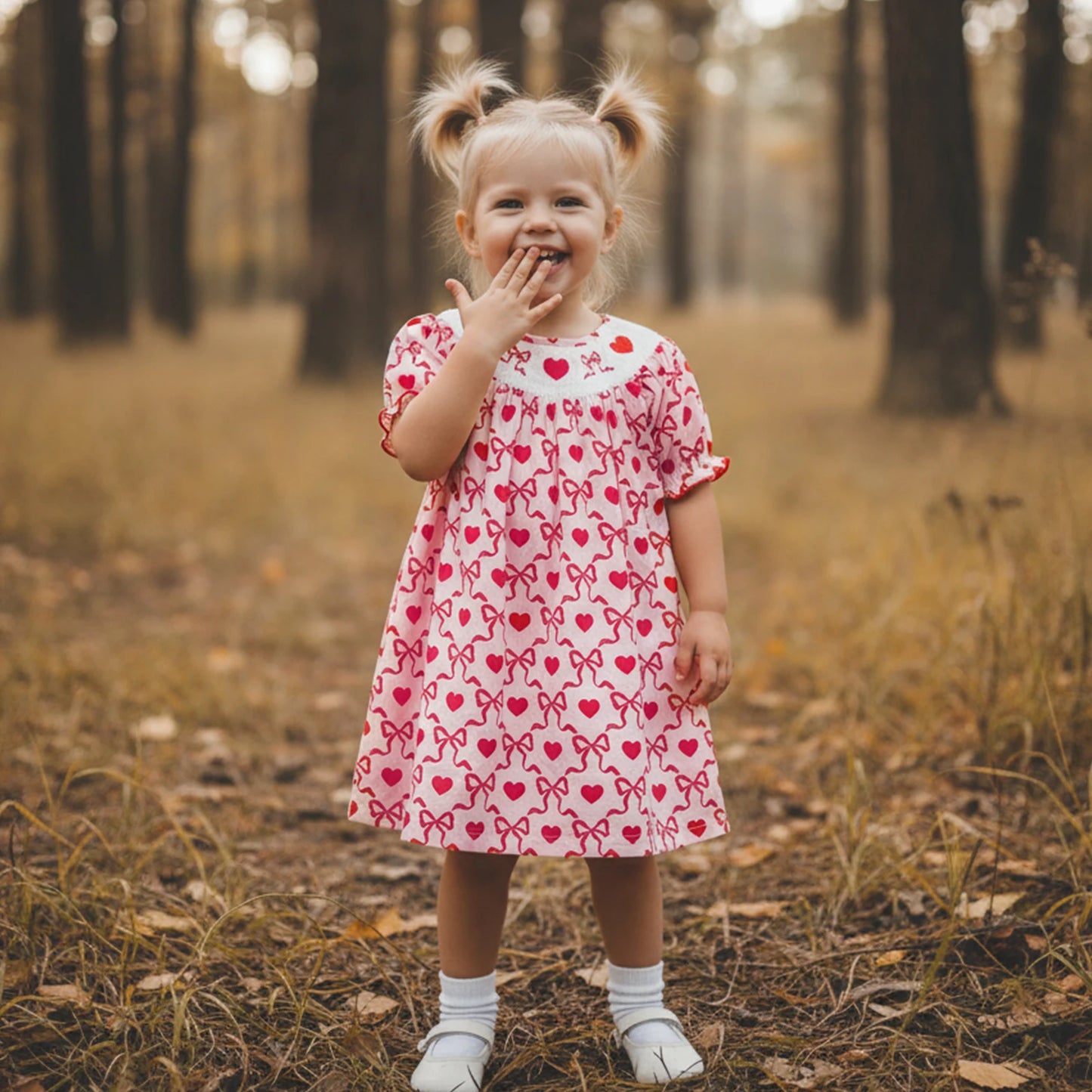 Little Girls Valentine's Day Short Sleeve Heart Embroidery Print A-Line Dress