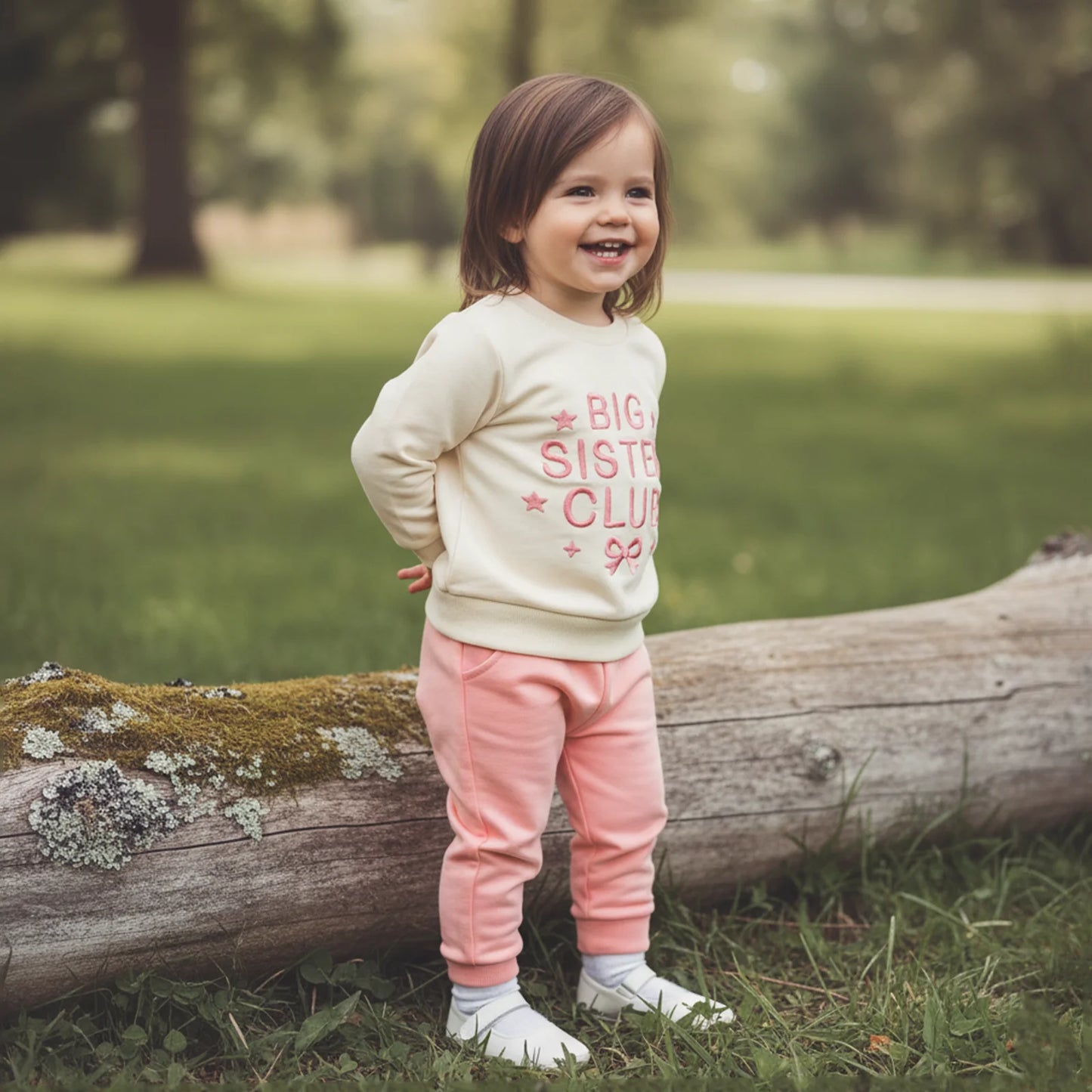 Toddler Baby Girls Fall Winter Outfit Set - Star Bow Embroidery Sweatshirt & Pants 0-3Y