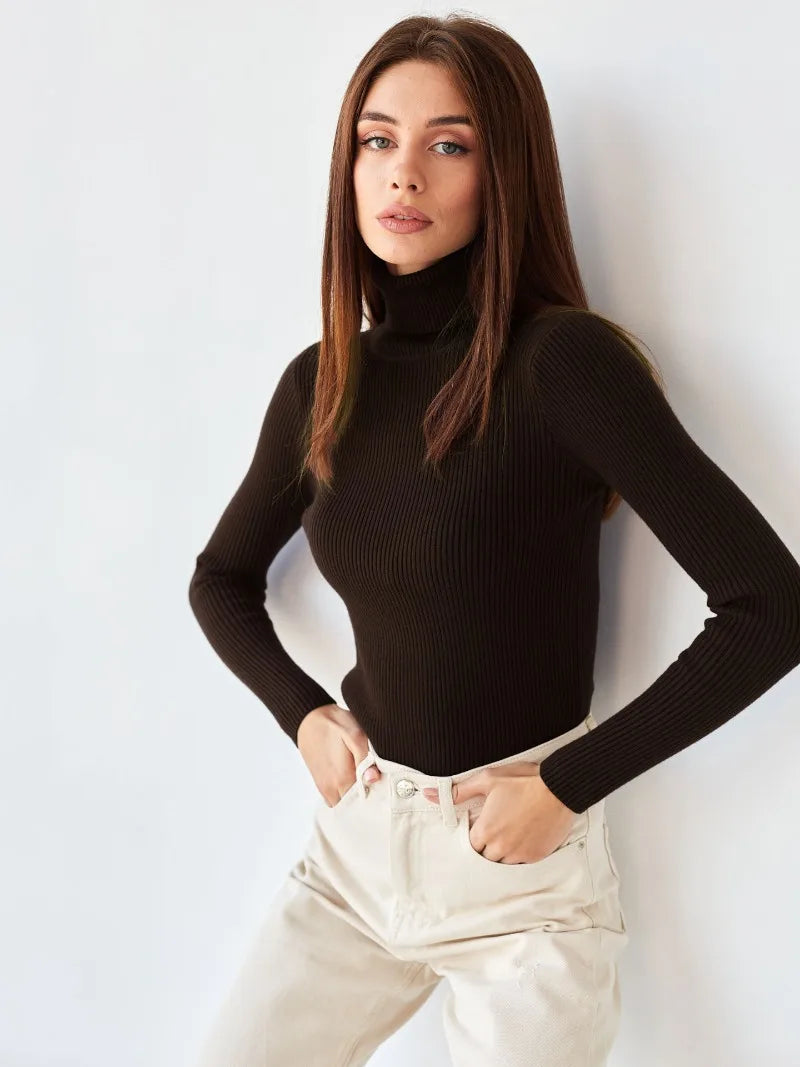 Women's Knitted Pullover Turtleneck