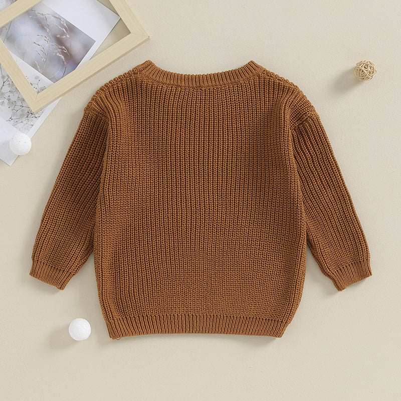 0-5Y Toddler Kids Boys Autumn Winter Sweater Long Sleeve Letter Embroidery Pullover Knitwear