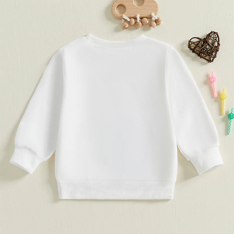 0-4Y  Kids Girls Boys Birthday Sweatshirt T- Shirt Letter Embroidery Long Sleeve Pullover Autumn Top