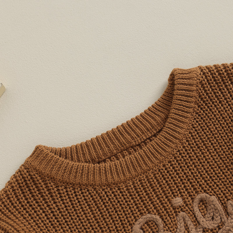 0-5Y Toddler Kids Boys Autumn Winter Sweater Long Sleeve Letter Embroidery Pullover Knitwear