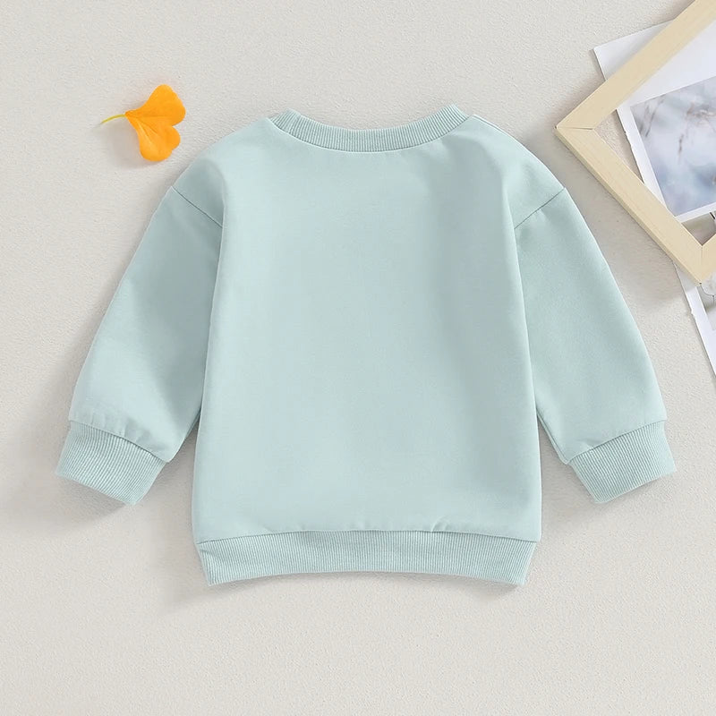 0-4Y Autumn Infant Baby Boys Girls Western T Shirts Cow Cattle Print Long Sleeve Pullover Sweatshirt Top