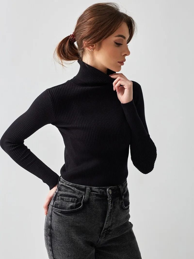 Women's Knitted Pullover Turtleneck