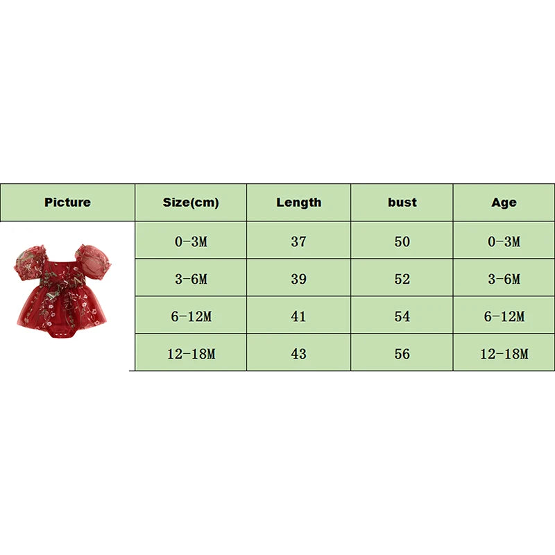 Baby Girls Princess Romper Dress - Flower Embroidery Mesh Skirt Bodysuit