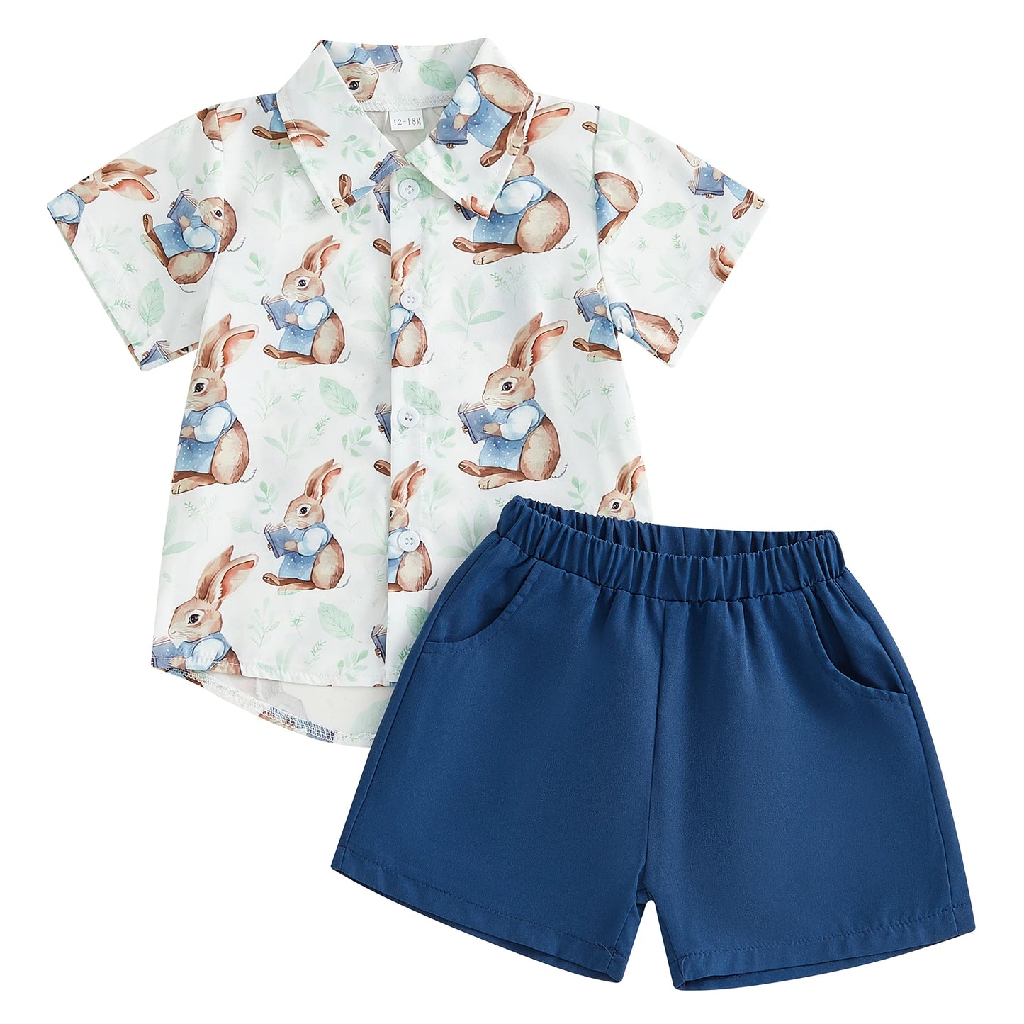 0-5Y Toddler Kids Boy's Easter Clothes Sets Rabbit/Carrot Print Short Sleeves T-Shirt and Elastic Shorts