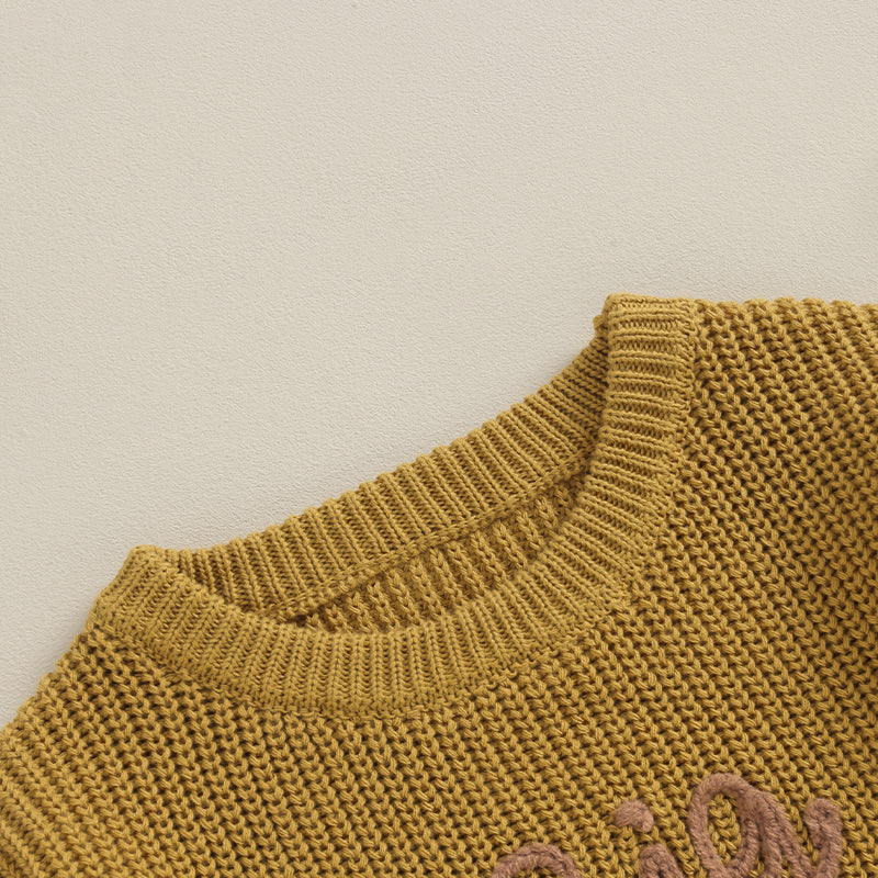 0-5Y Toddler Kids Boys Autumn Winter Sweater Long Sleeve Letter Embroidery Pullover Knitwear